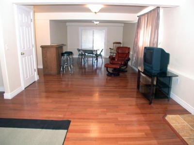 Lower level fireplace